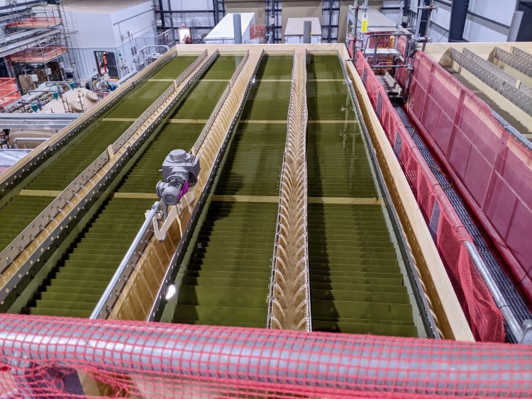 Operation of Inclined Plate Clarifiers